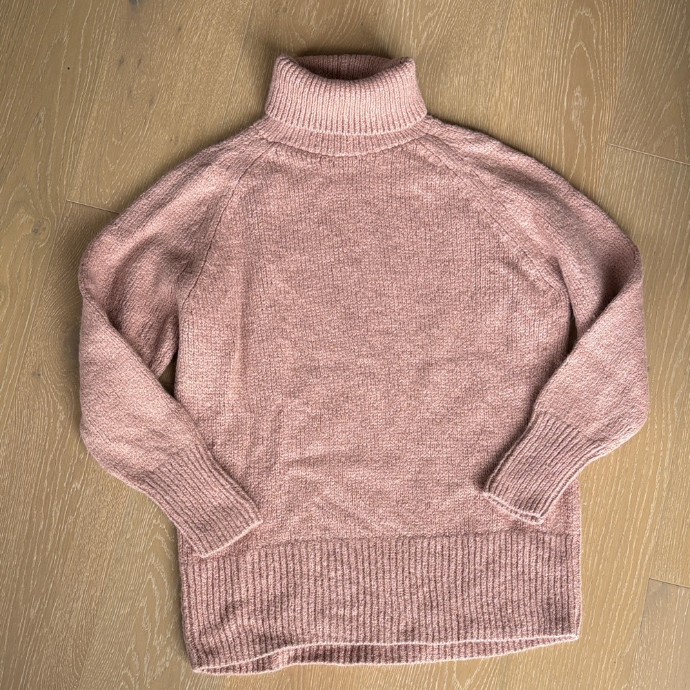 Babaton Turtleneck Sweater